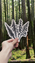 Load image into Gallery viewer, Old Growth Trees Sticker Pack