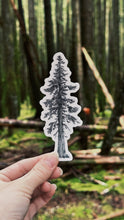 Load image into Gallery viewer, Old Growth Trees Sticker Pack