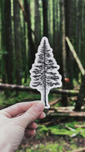 Load image into Gallery viewer, Old Growth Trees Sticker Pack