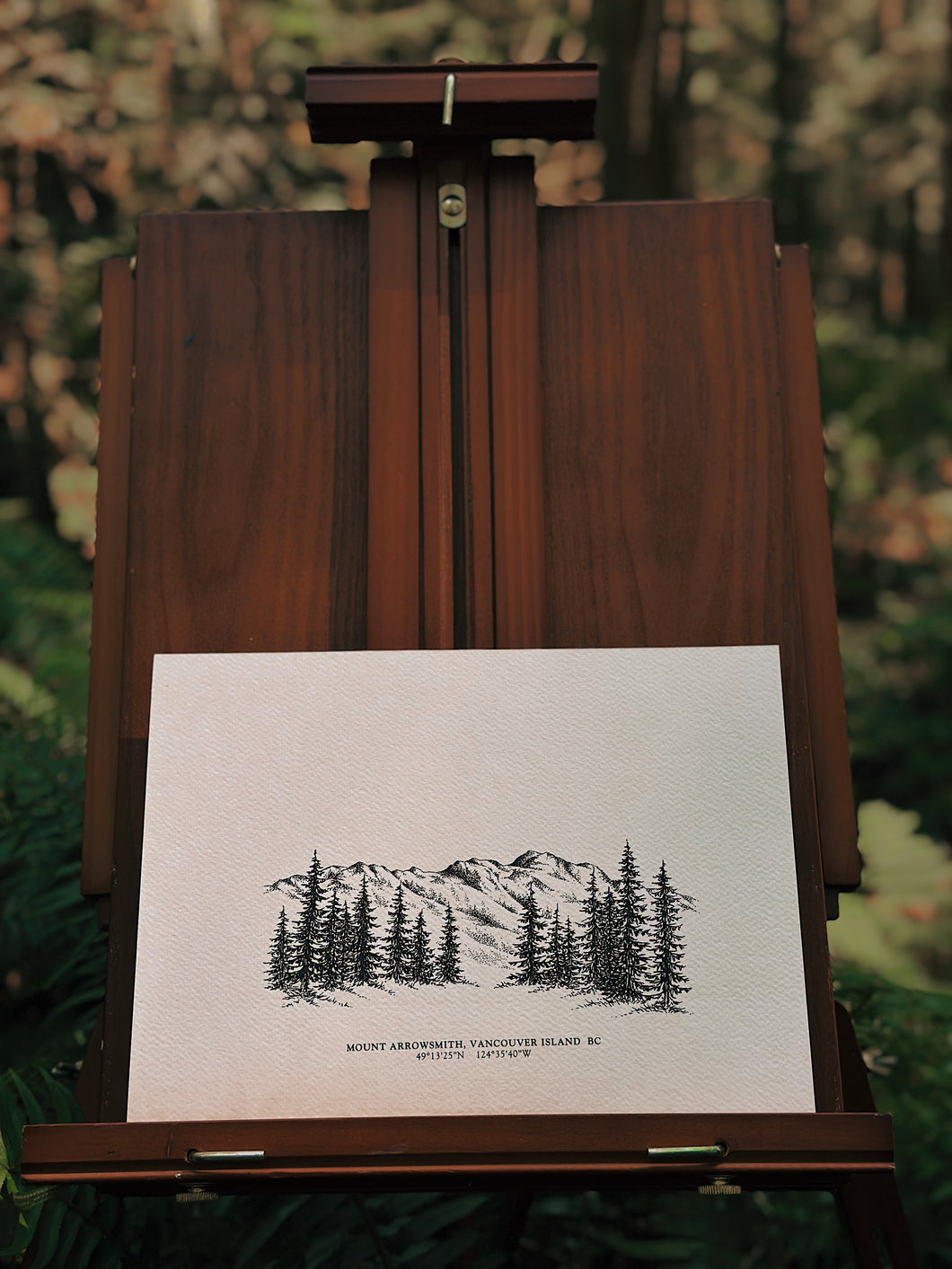 Mount Arrowsmith Vancouver Island BC Print - Ranges of BC