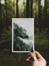 Load image into Gallery viewer, ‘Misty Canopy’ Original Framed 4x6 Watercolour
