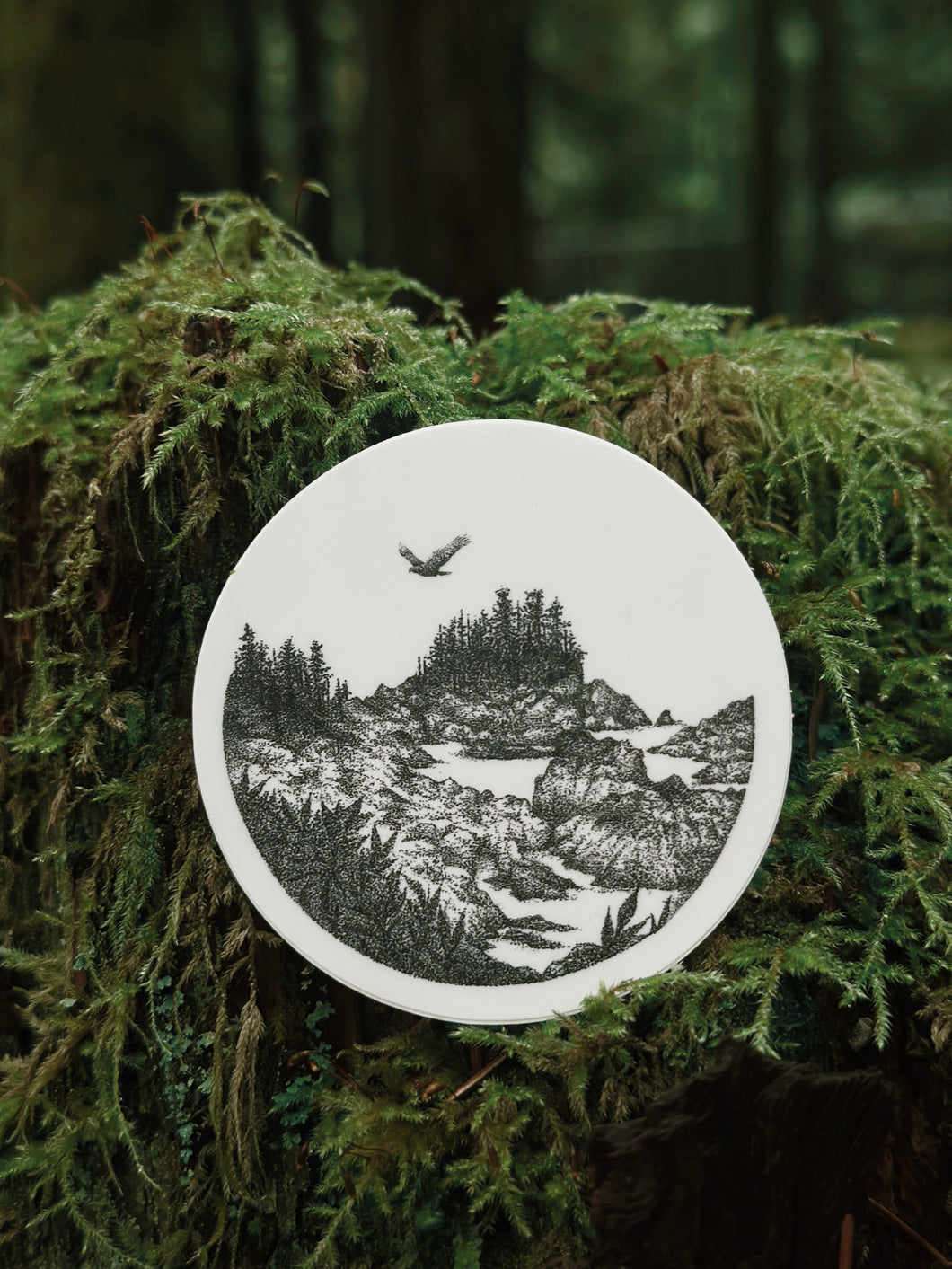 Moments of the Northwest, ‘Wild Pacific Trail, Ucluelet BC’ Sticker