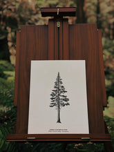 Load image into Gallery viewer, The Sierra Lodgepole Pine Print - Ancient Giants Collection
