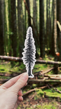 Load image into Gallery viewer, Old Growth Trees Sticker Pack
