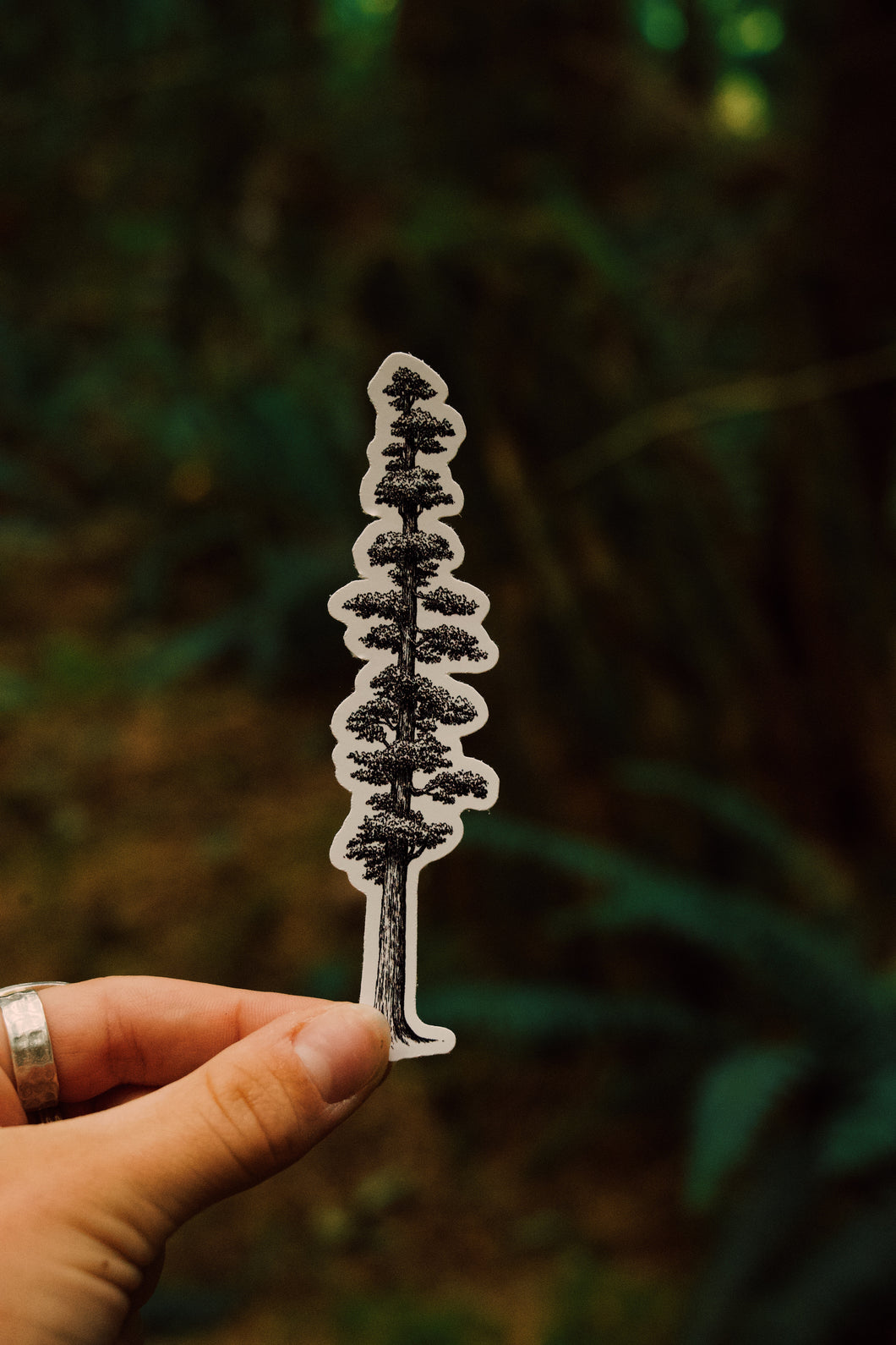 Giant Sequoia Sticker