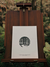 Load image into Gallery viewer, Cathedral Grove, BC - Moments of the Northwest Collection
