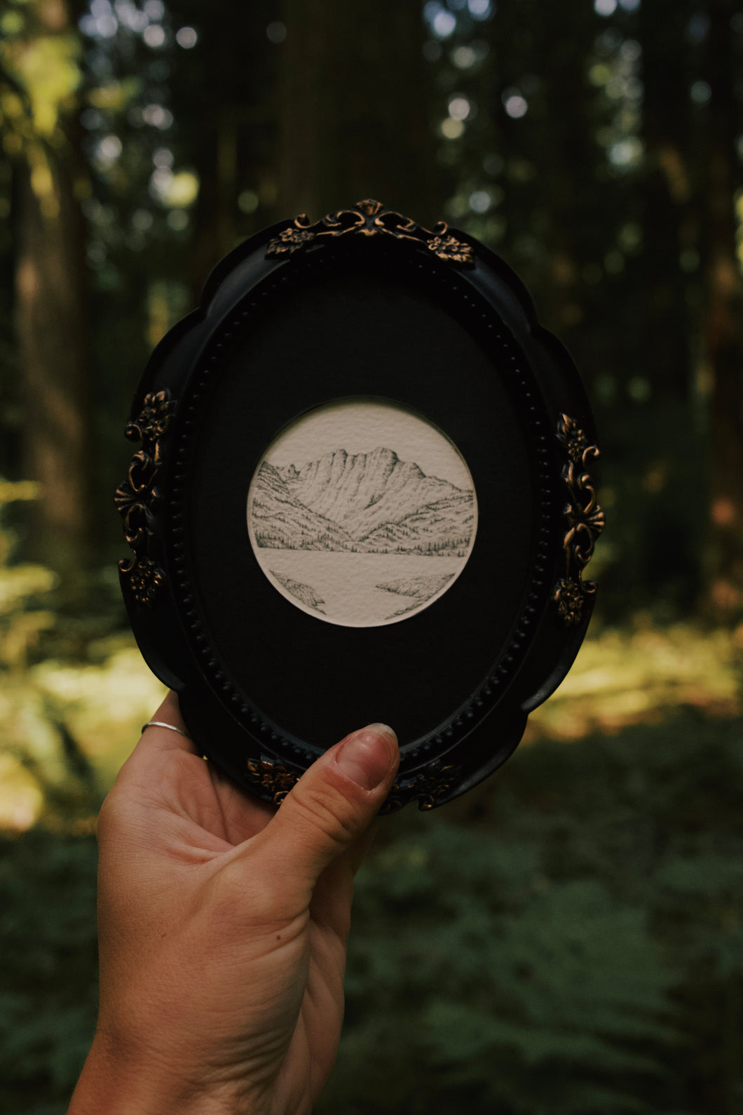 Mount McBride, Strathcona Provincial Park—Framed Original